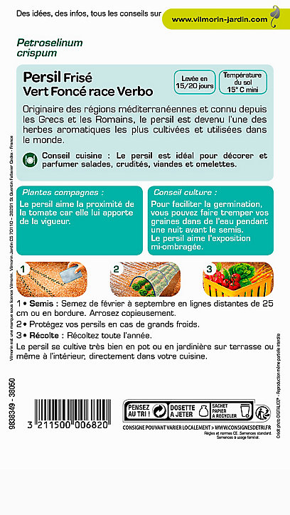 Graines de Persil Frisé Vert Foncé Race Verbo