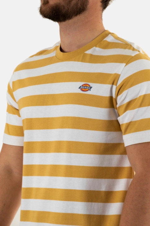 Tee shirt dickies rivergrove h131 fall leaf