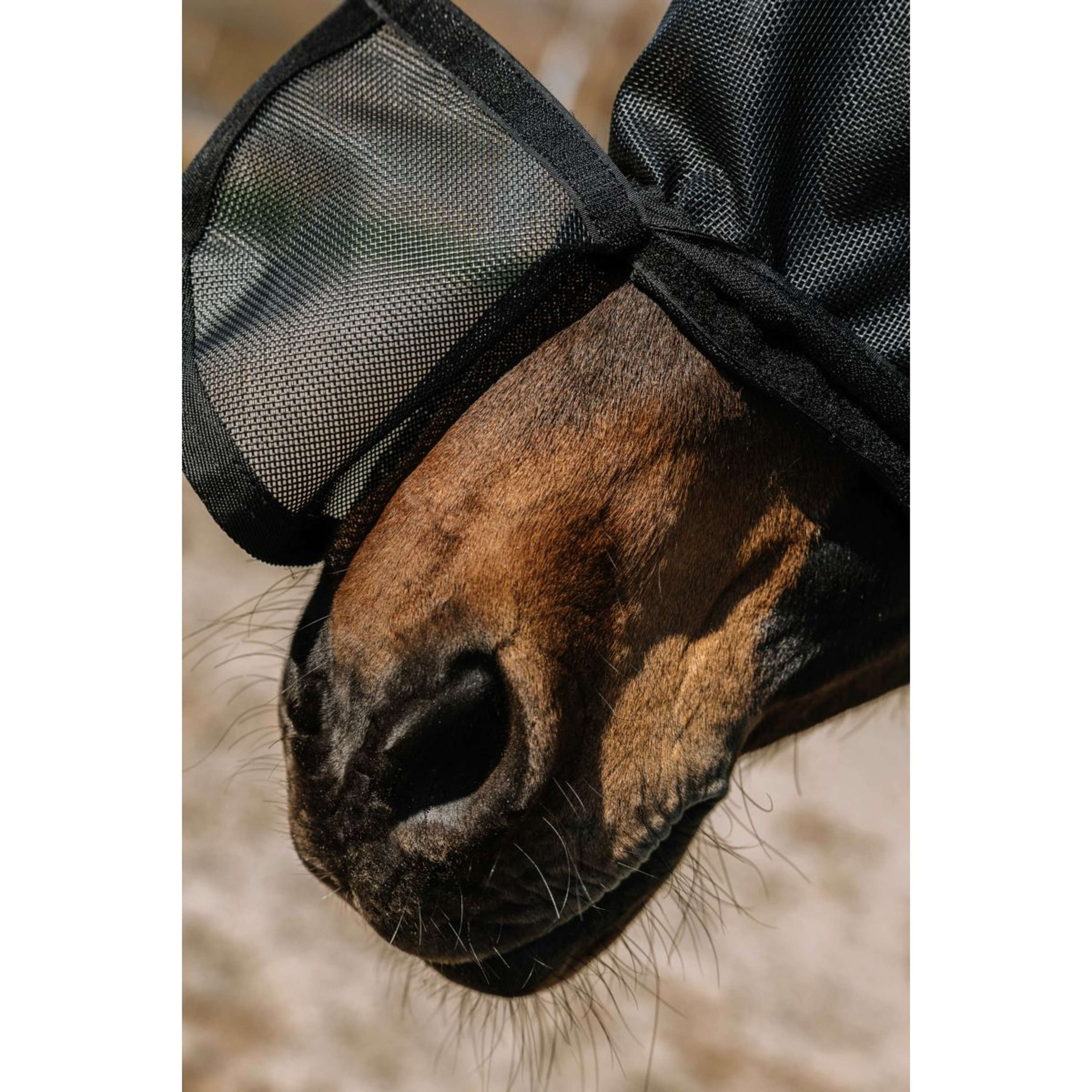 EQUITHÈME Vliegenmasker Protec met UV-Bescherming Zwart