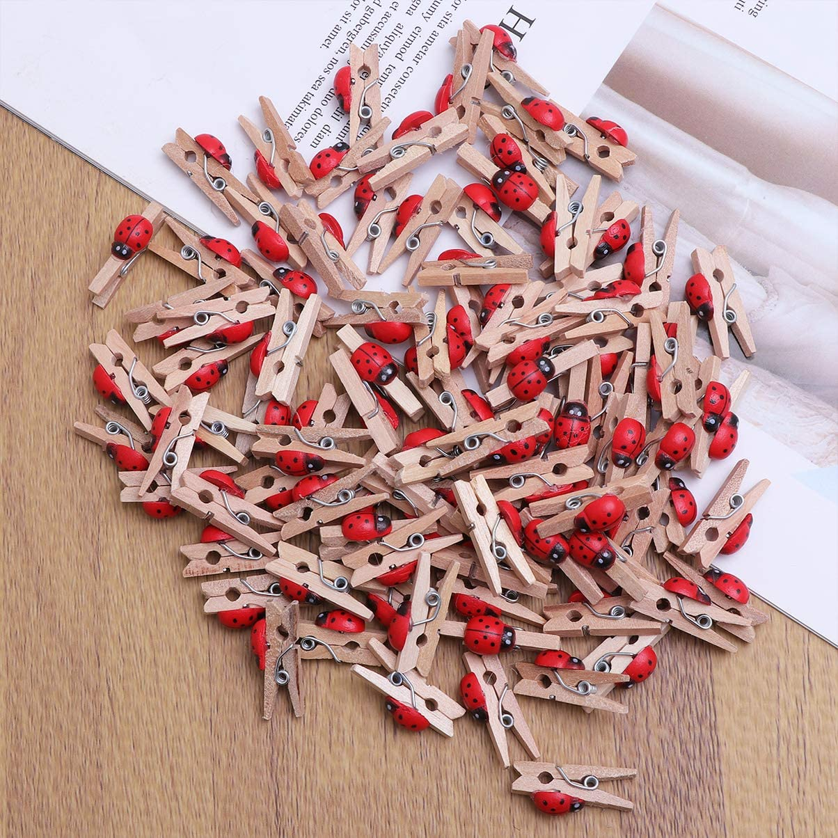 (100er Set) 2.5cm Mini Holz Klammern DIY Bastel Deko Wäscheklammern - Marienkäfer