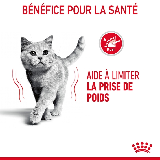 Croquettes chat Adulte limite prise de poids Light Weight 3kg
