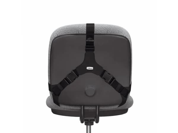 Fellowes professional back support (8037613)