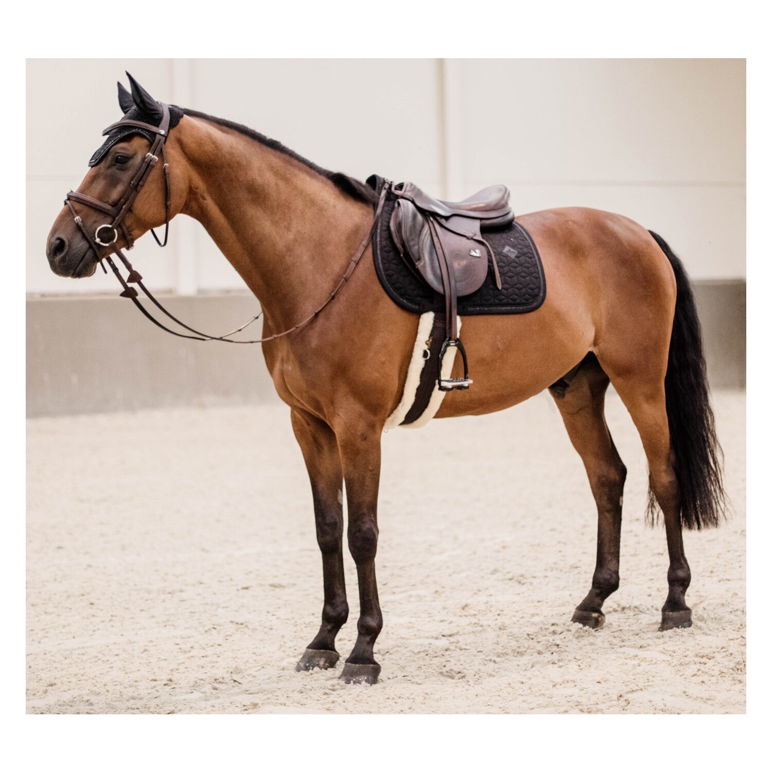 KENTUCKY Schabracke Glitter Rope  - black