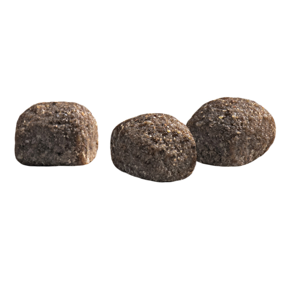 Prins Protection Croque Mini Basic Excellent Hondenvoer 2 kg
