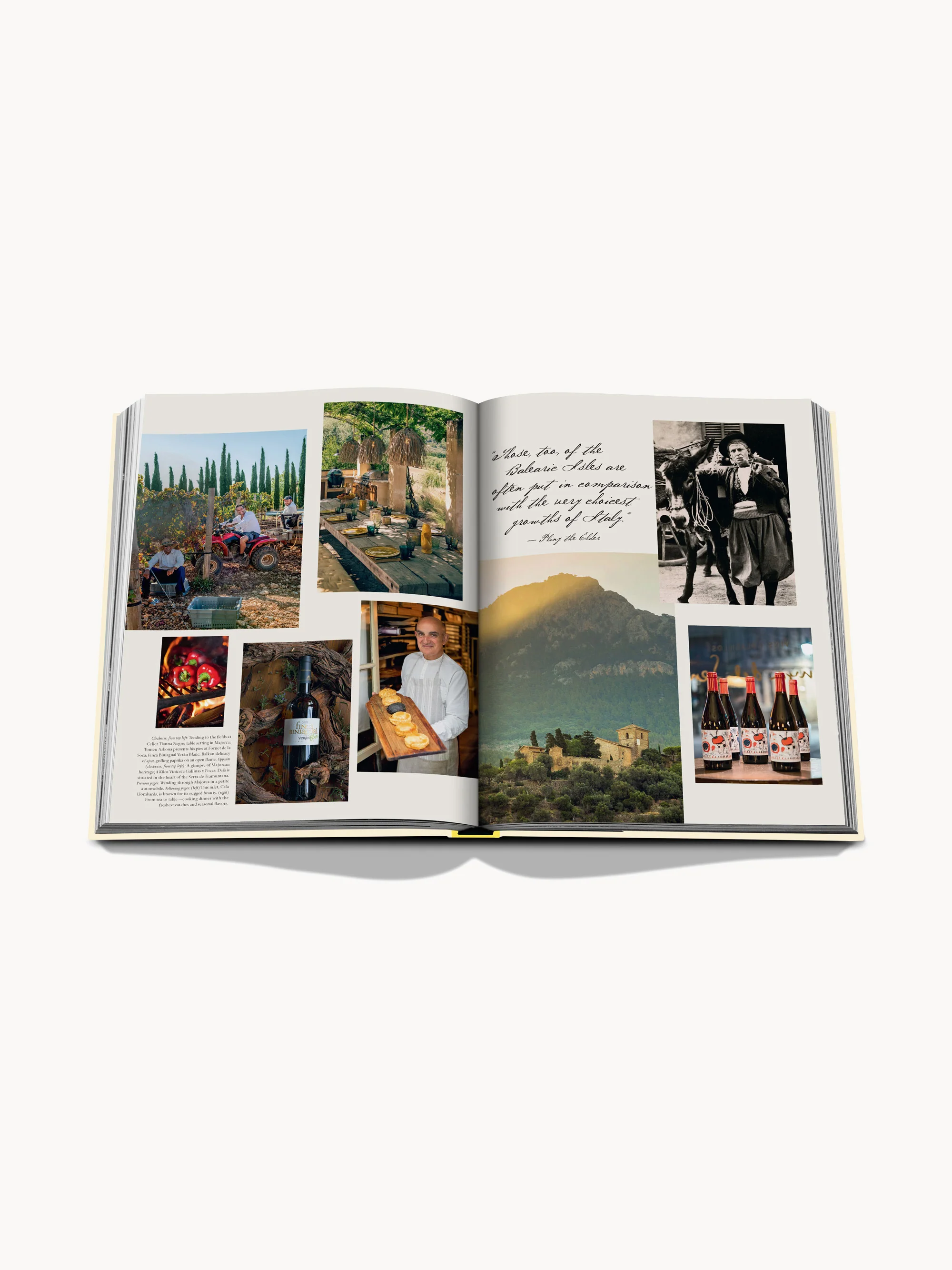 Koffietafelboek Wine & Travel Mediterrean Islands
