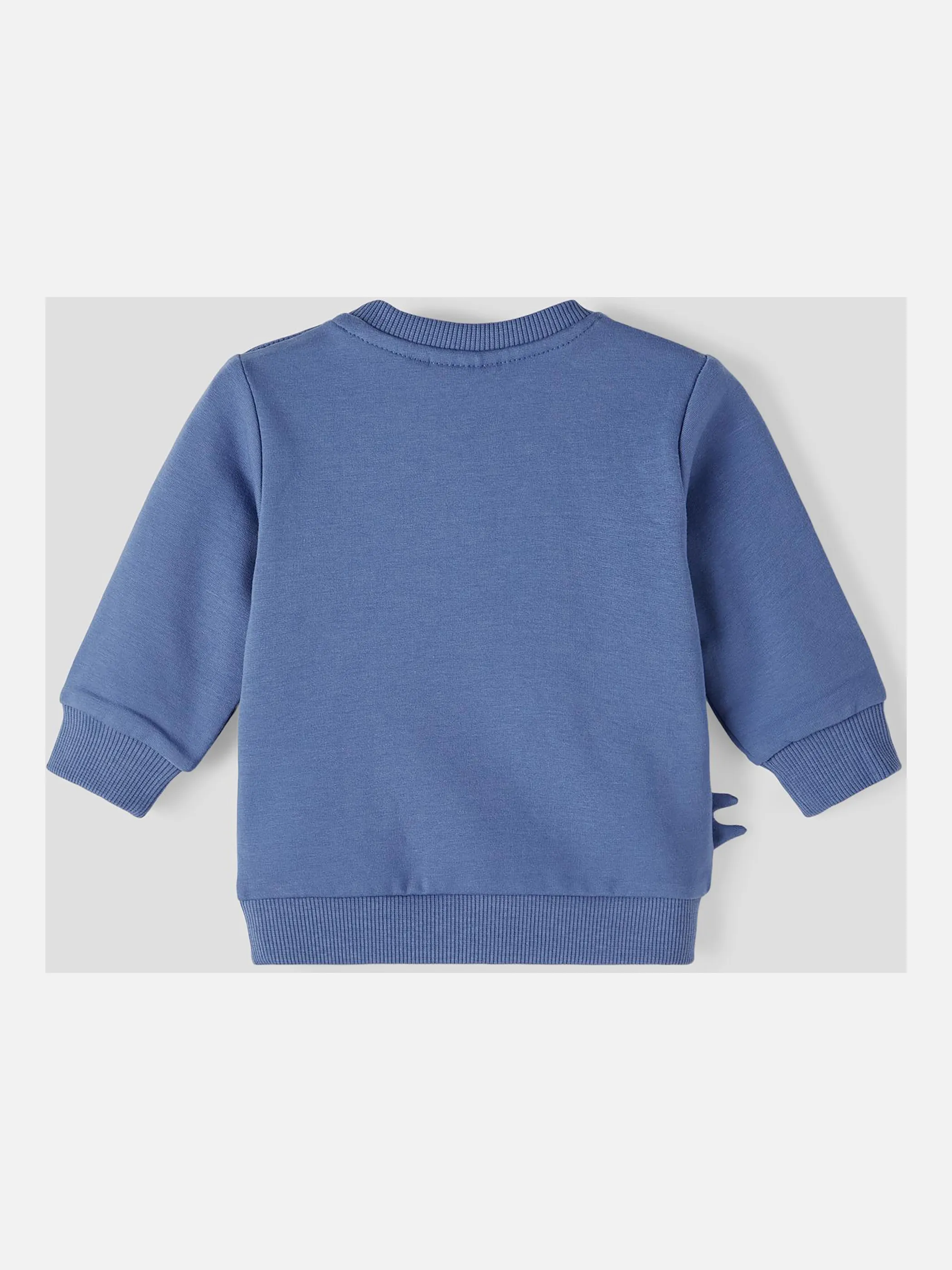 Jungen Sweatshirt mit Dinoprint