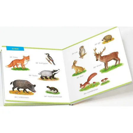 Tessloff Mein Bildwörterbuch Tiere: Spielerisches Lernen der ersten Wörter