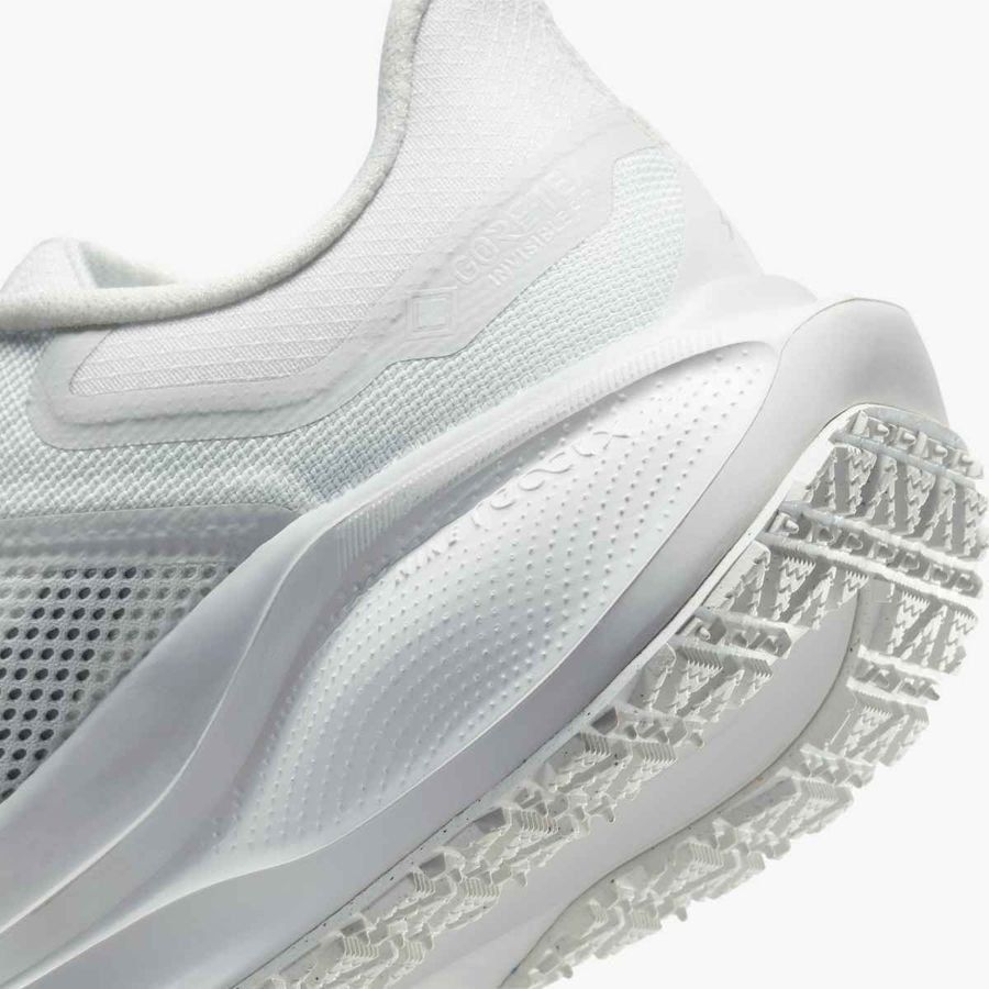 Nike Pegasus 41 GORE-TEX