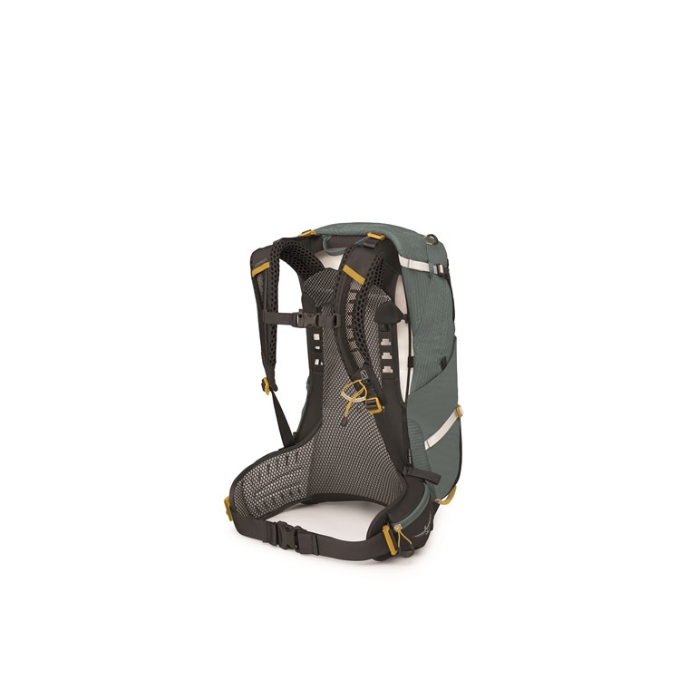 Osprey Sirrus 24 Succulent Green