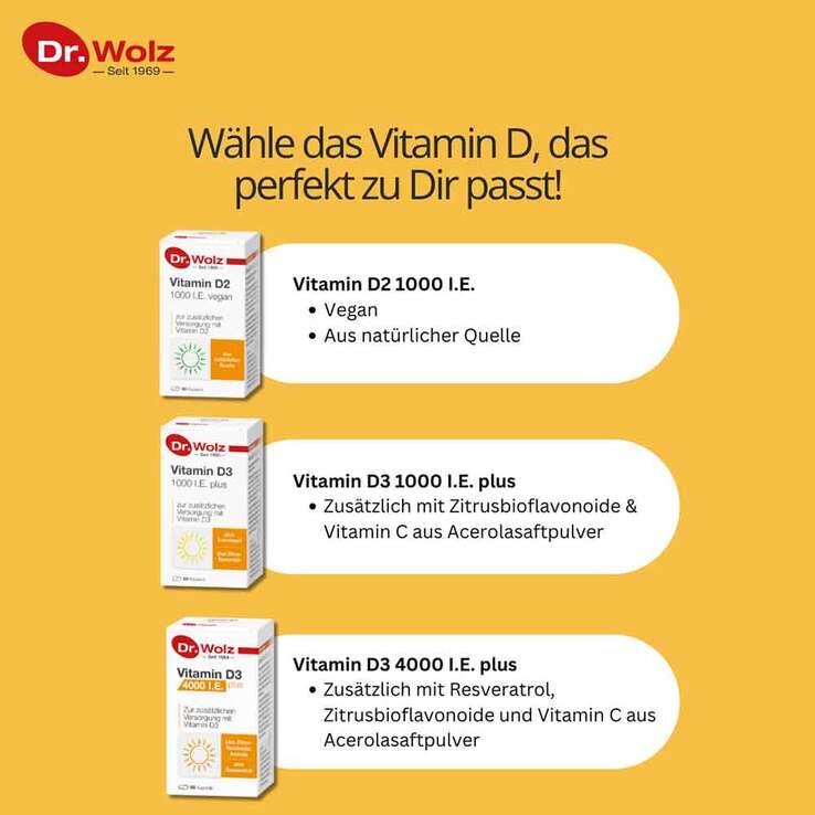 Vitamin D2 1000 I.E. vegan Kapseln, 60 St
