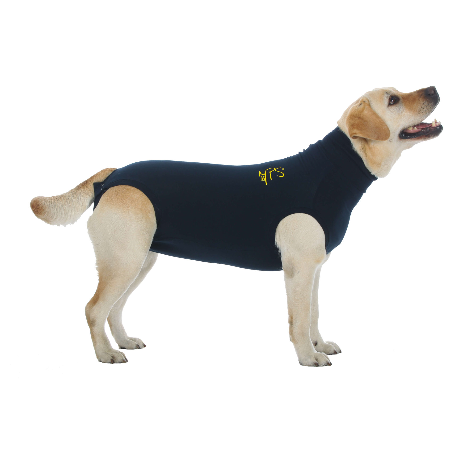 Medical Pet Shirt Hond