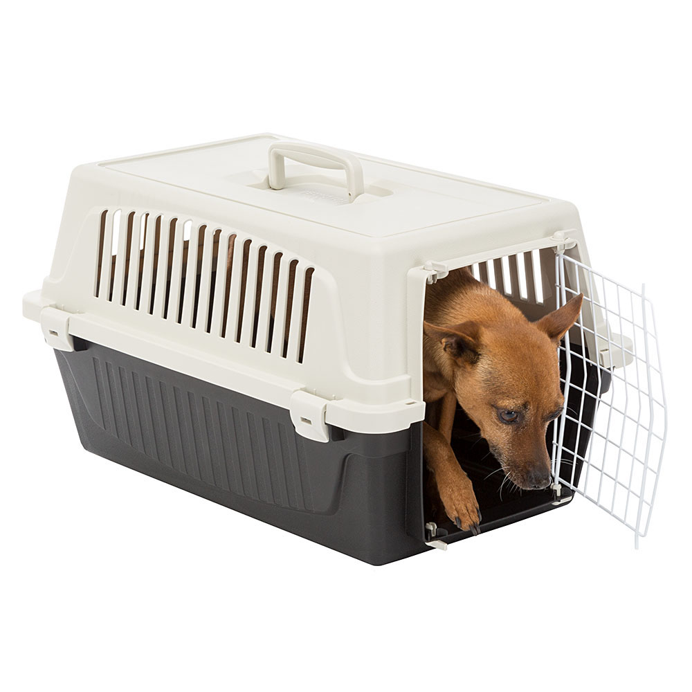 Transport rigide pour chiens de petite taille et chats atlas 20 el, porte an acier plastifié, grilles pour l'aération