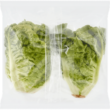 Jumbo Biologisch Groente Little Gem 2 Stuks