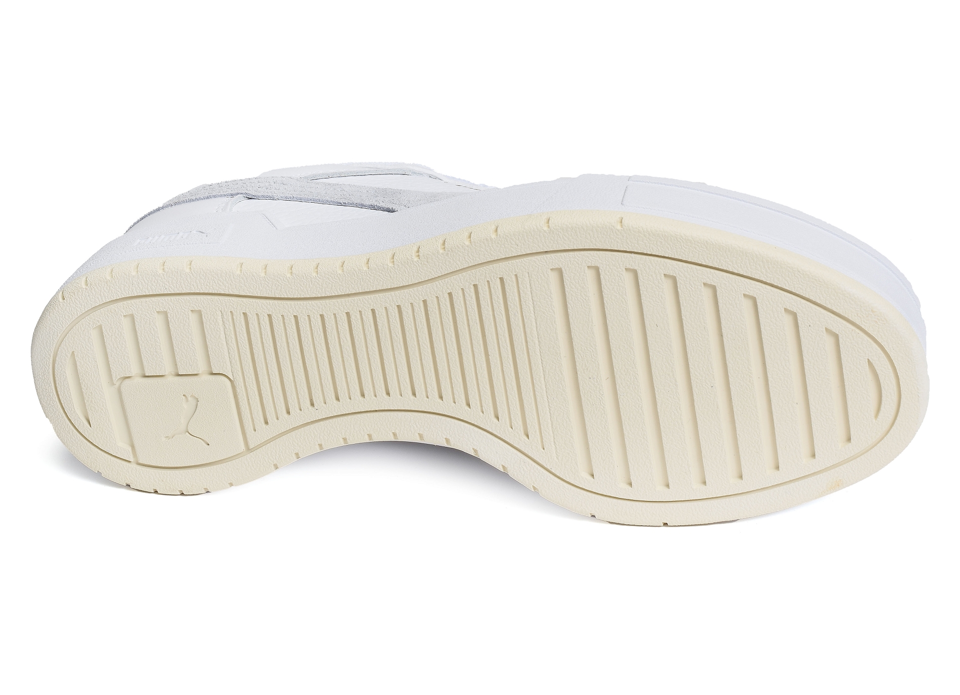 Ca pro suede blanc gris