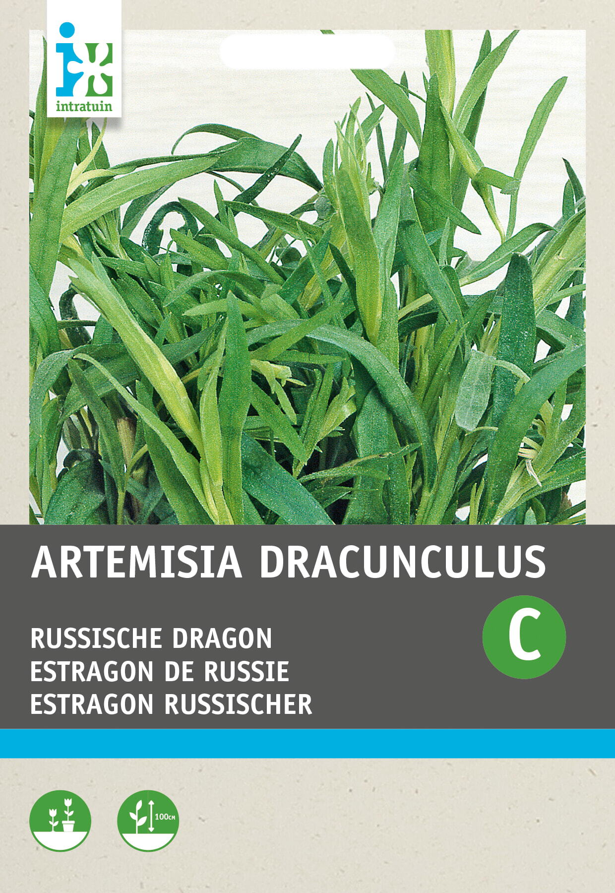 Intratuin kruidenzaad Dragon Russische (Artemisia dracunculus)