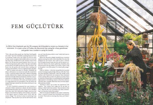 New Mags  Kinfolk garden bog