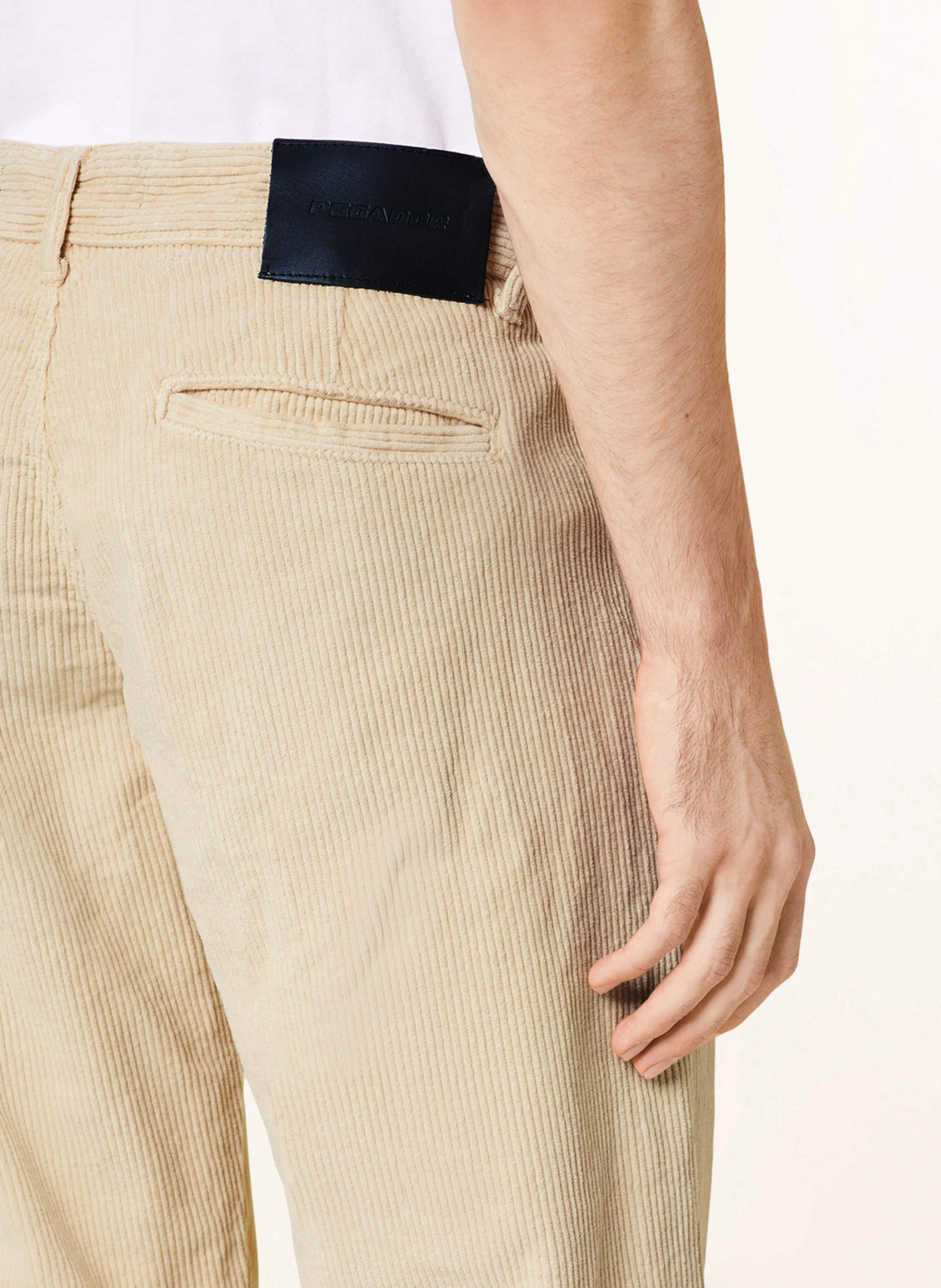 PEGADOR Cordhose DORSEY Regular Fit