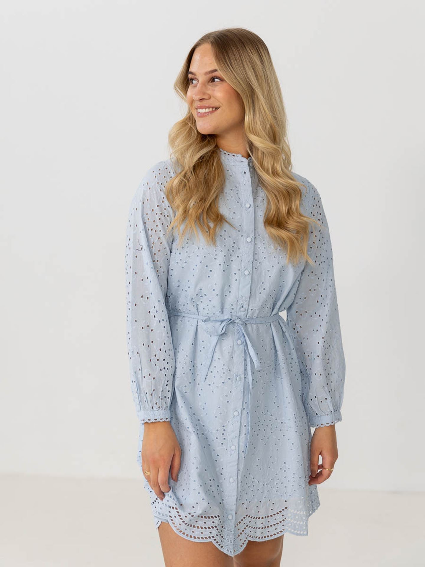 Tatiana Long Sleeve Short Embr Dress