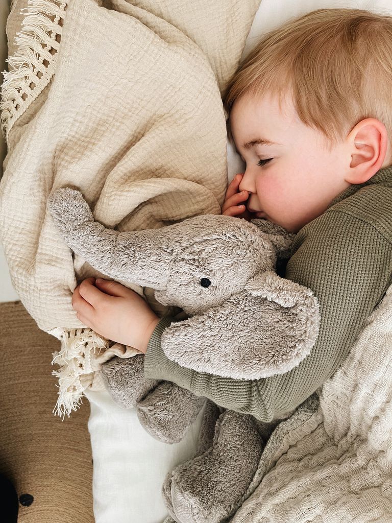 Senger Kuscheltier Elefant
