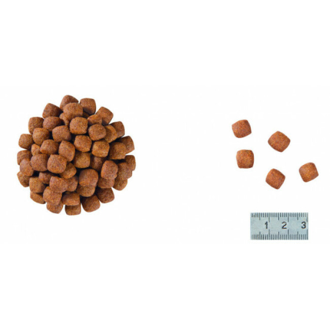 Croquettes Royal Canin Veterinary Care Gastrointestinal Hairball pour chats