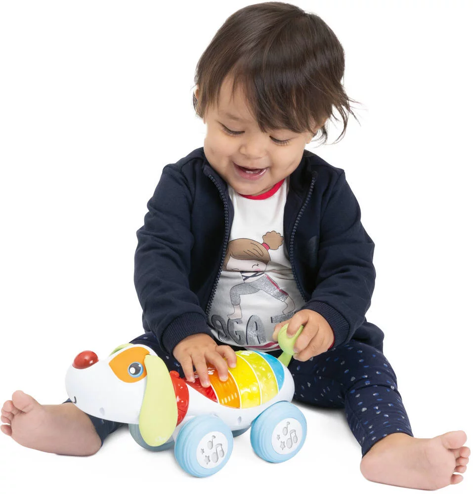 BABY SENSES - CHIEN DOGREMI PARLANT RADIOCOMMANDE