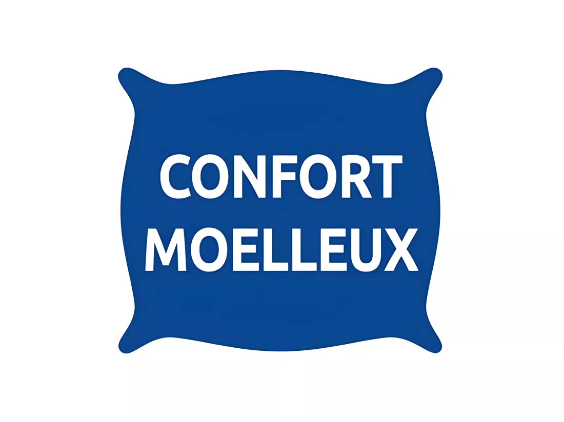 Lot De 2 Oreillers 60 X 60 Cm 