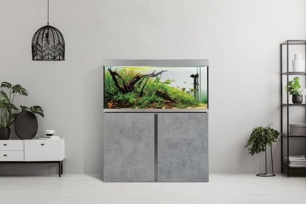 FLUVAL® Aquarium Kombination Siena 330, ca.