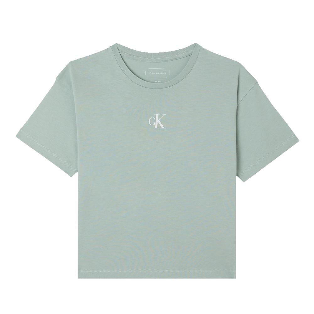 Calvin Klein Jeans T-shirt Vert Fille Calvin Klein Jeans PHS