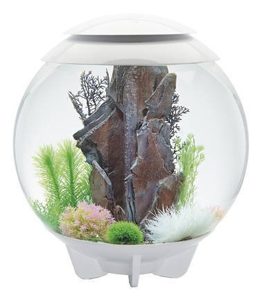 biOrb Halo 60 MCR Wit | Compleet aquarium