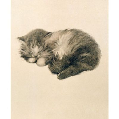 Persian Kitten Card