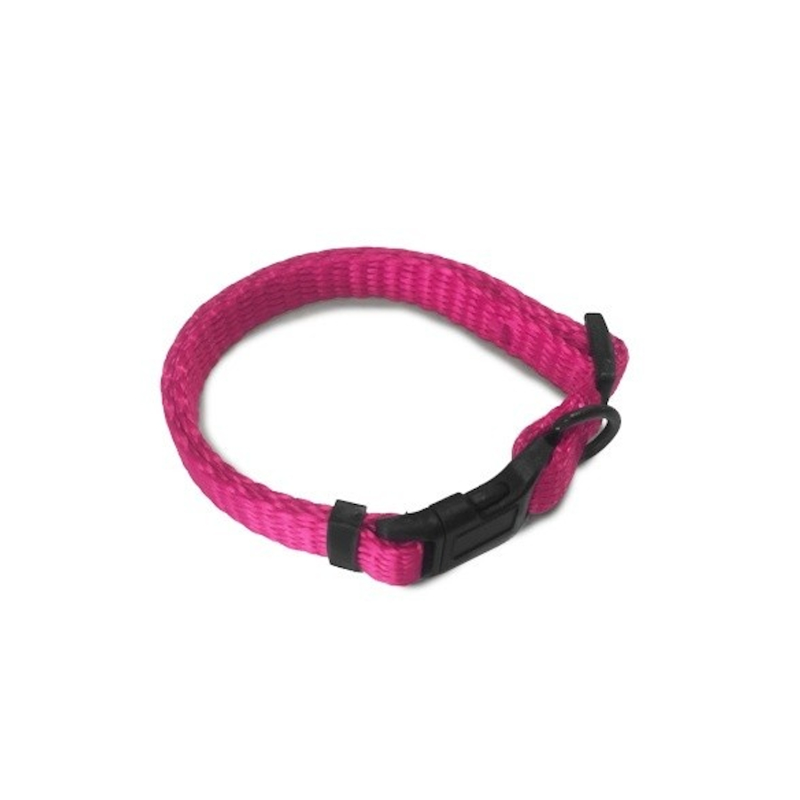 Coleira rosa para cães da Outech