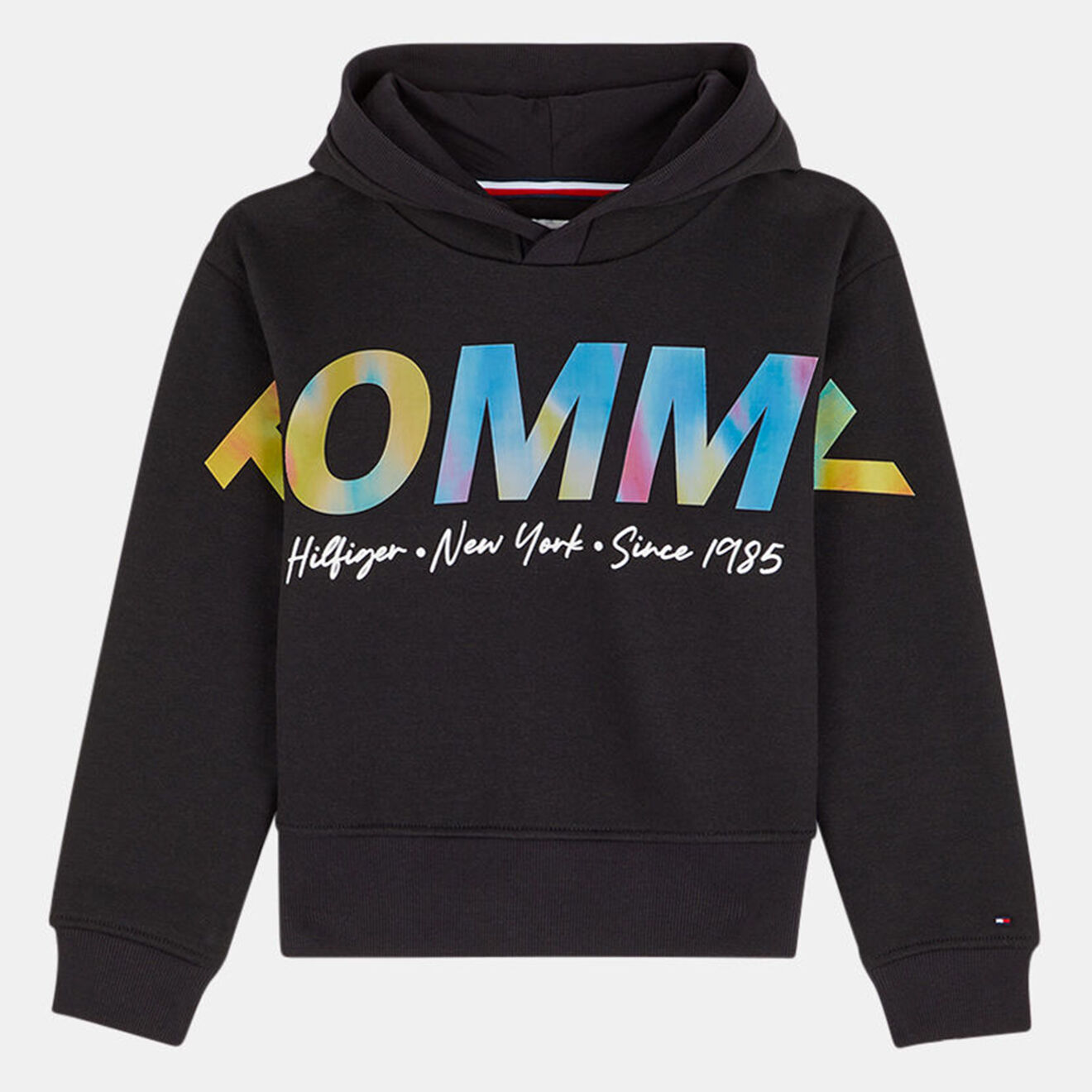 Tommy Hilfiger Sweat en matière recyclée à Capuche Logo coloré noir