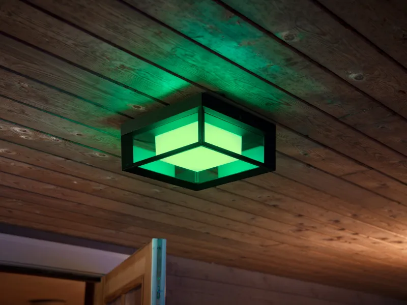 Philips Hue White Color Ambiance Econic Udendørs Væg/lofslampe