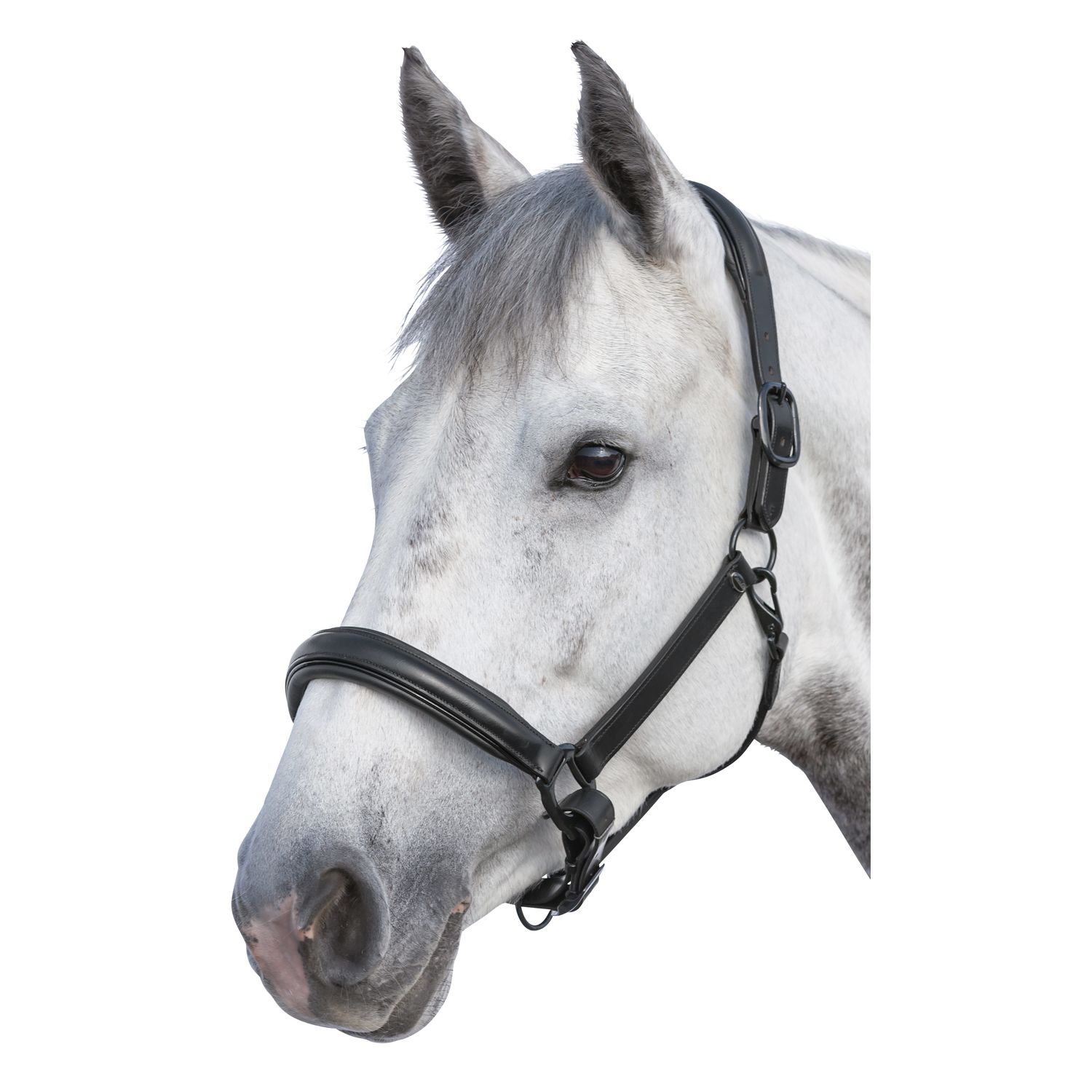 Loesdau Soft-Lederstallhalfter Noir  - schwarz