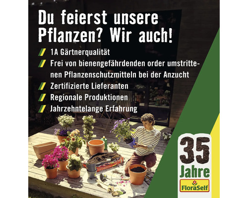 FloraSelf Mediterrane BBQ Kruidenmix 6 stuks Ø 9 cm pot 35 Jaar FloraSelf Jubileumeditie