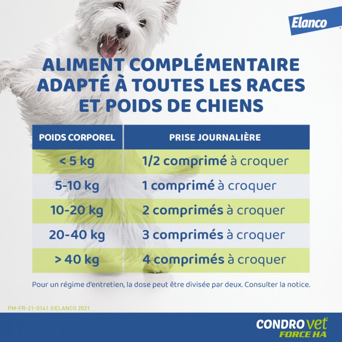 Condrovet Chien