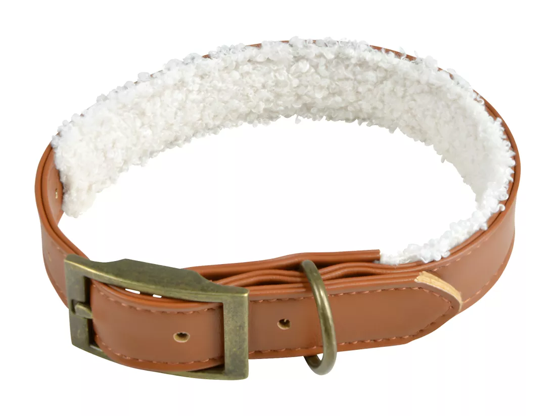 Collier pour Chien 
