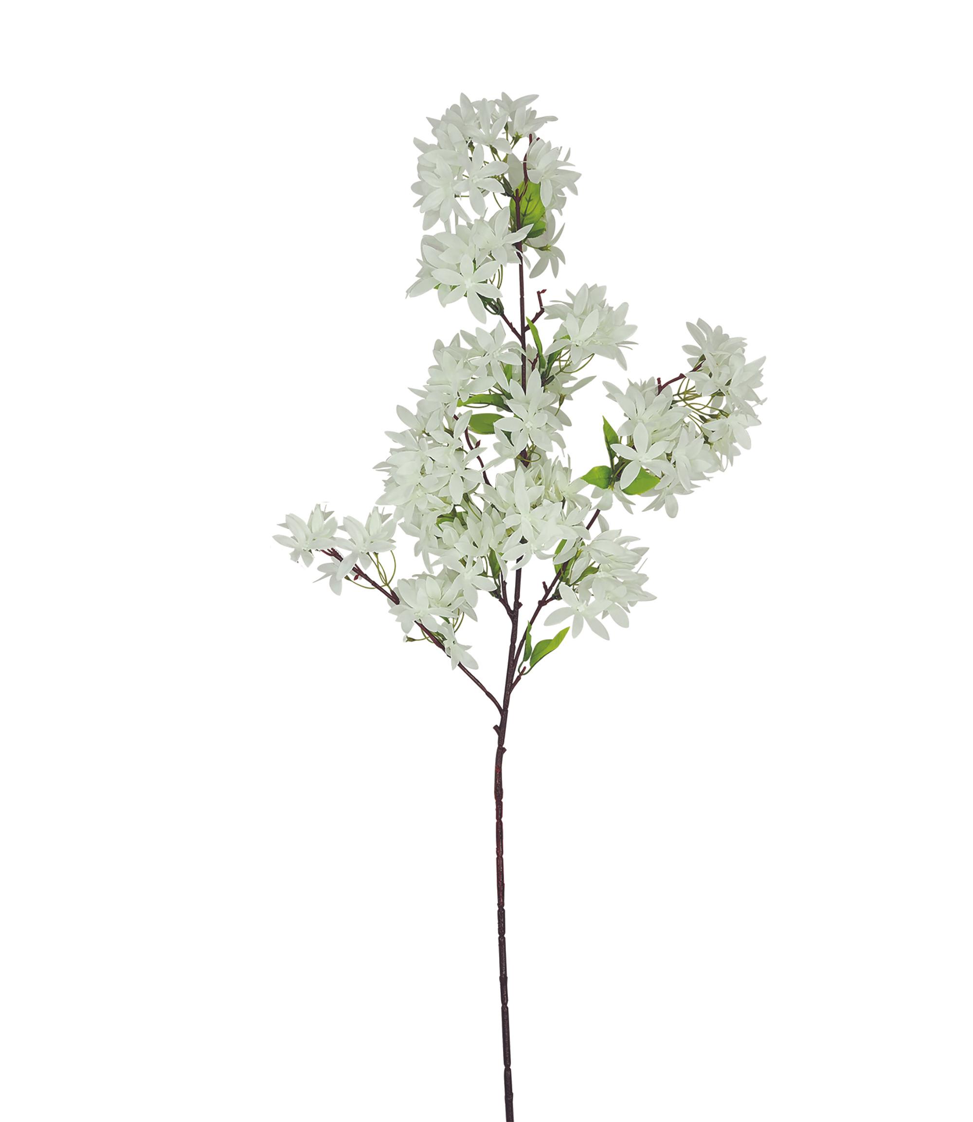 TIGE JASMIN H.100CM BLANC
