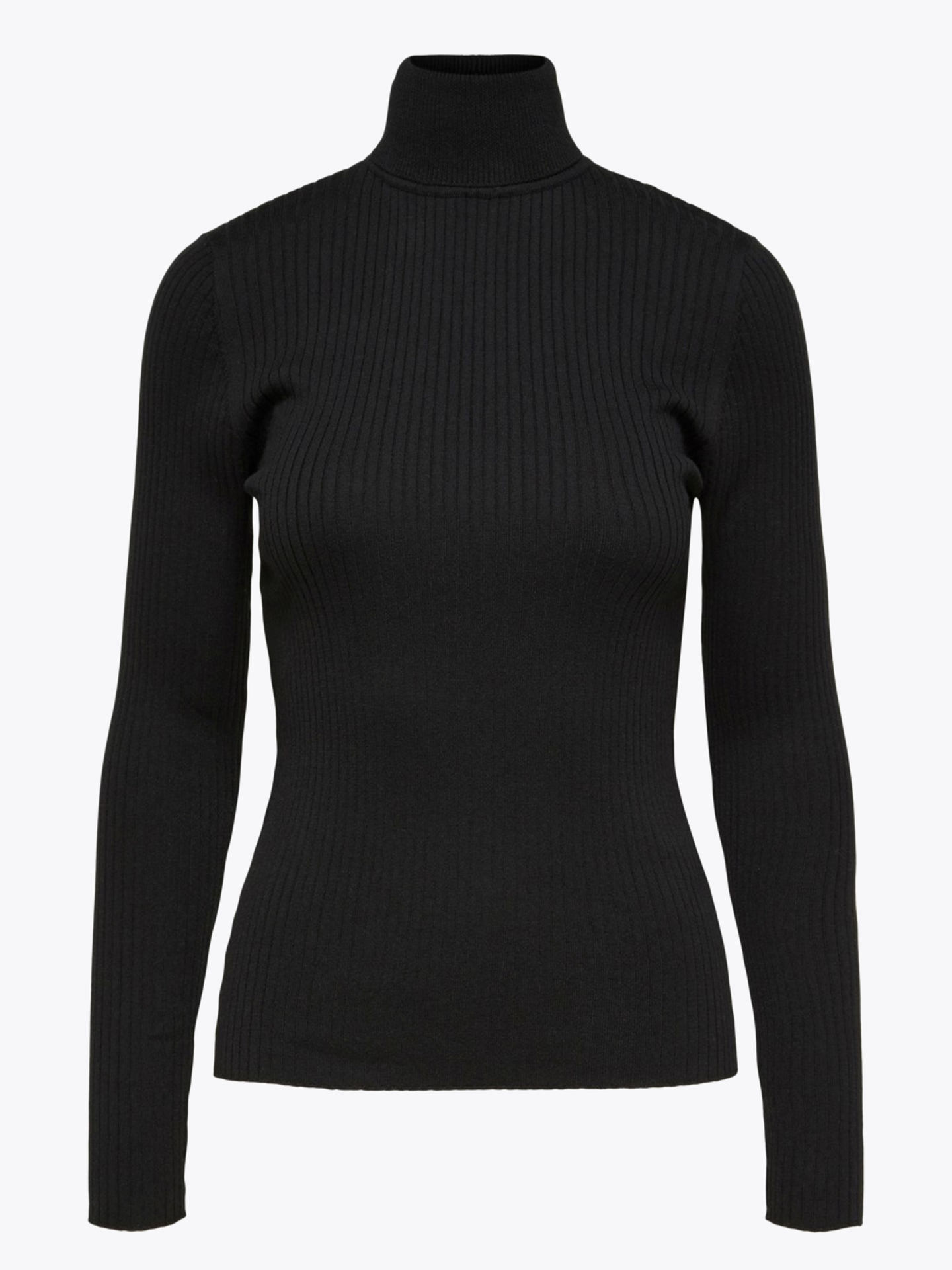 Lydia Costa Long Sleeve Knit Rollneck