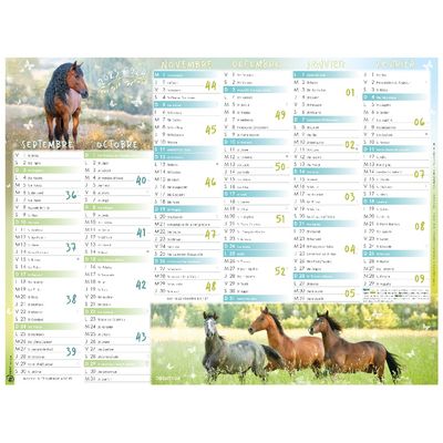 Calendrier Cheval - 7 mois par face - 32 x 42 cm - Oberthur