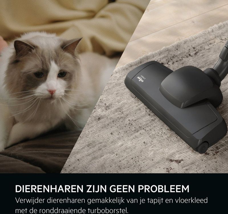 AEG AB61A4DB Animal 6000 - Stofzuiger met zak - Parketborstel - Dierenhaar - Hepa 13