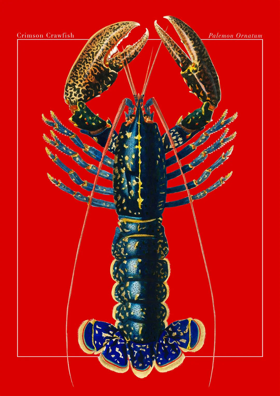 Red Lobster