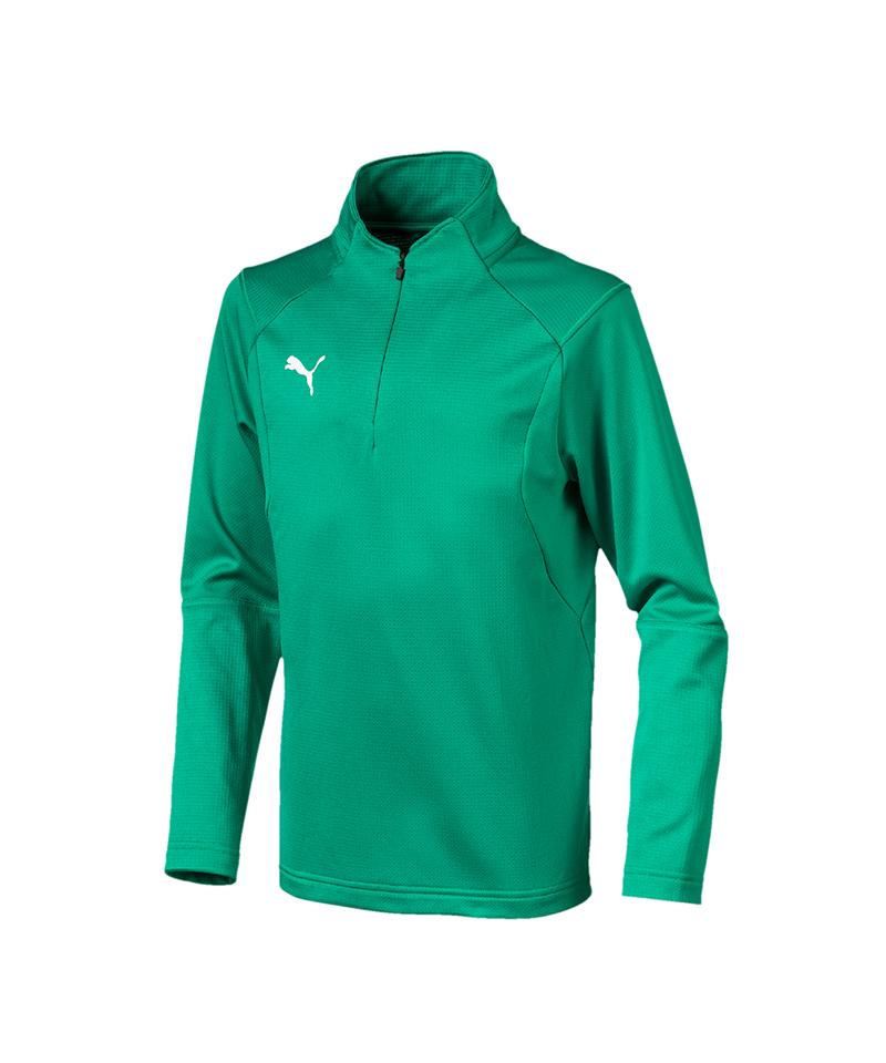 PUMA LIGA Training 1/4 Zip Top Sweatshirt Kids F05