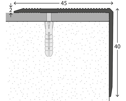 Aluminium traprandprofiel, zilver, geperforeerd, 45 x 40 x 1000 mm