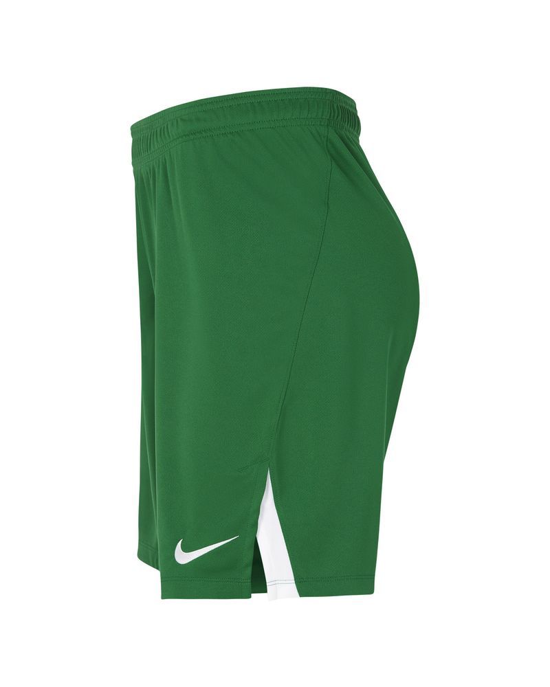 Short de volley Nike Team Spike Vert pour homme