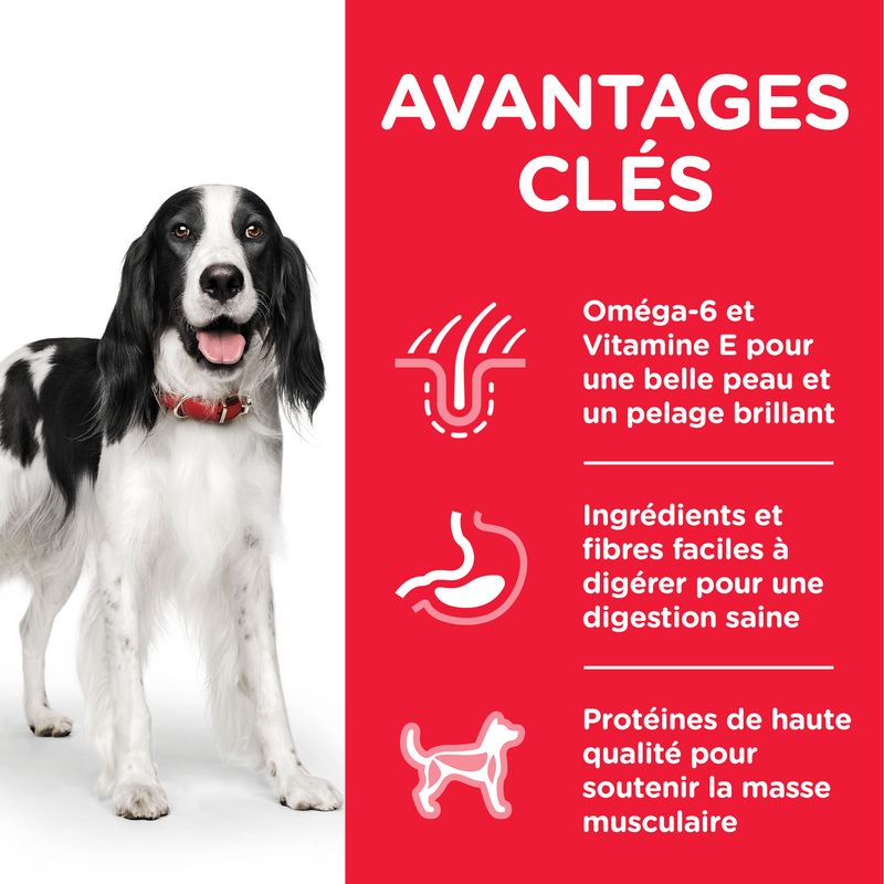 Hill's Science Plan Adult 1-6 Medium poulet sur bitiba.fr