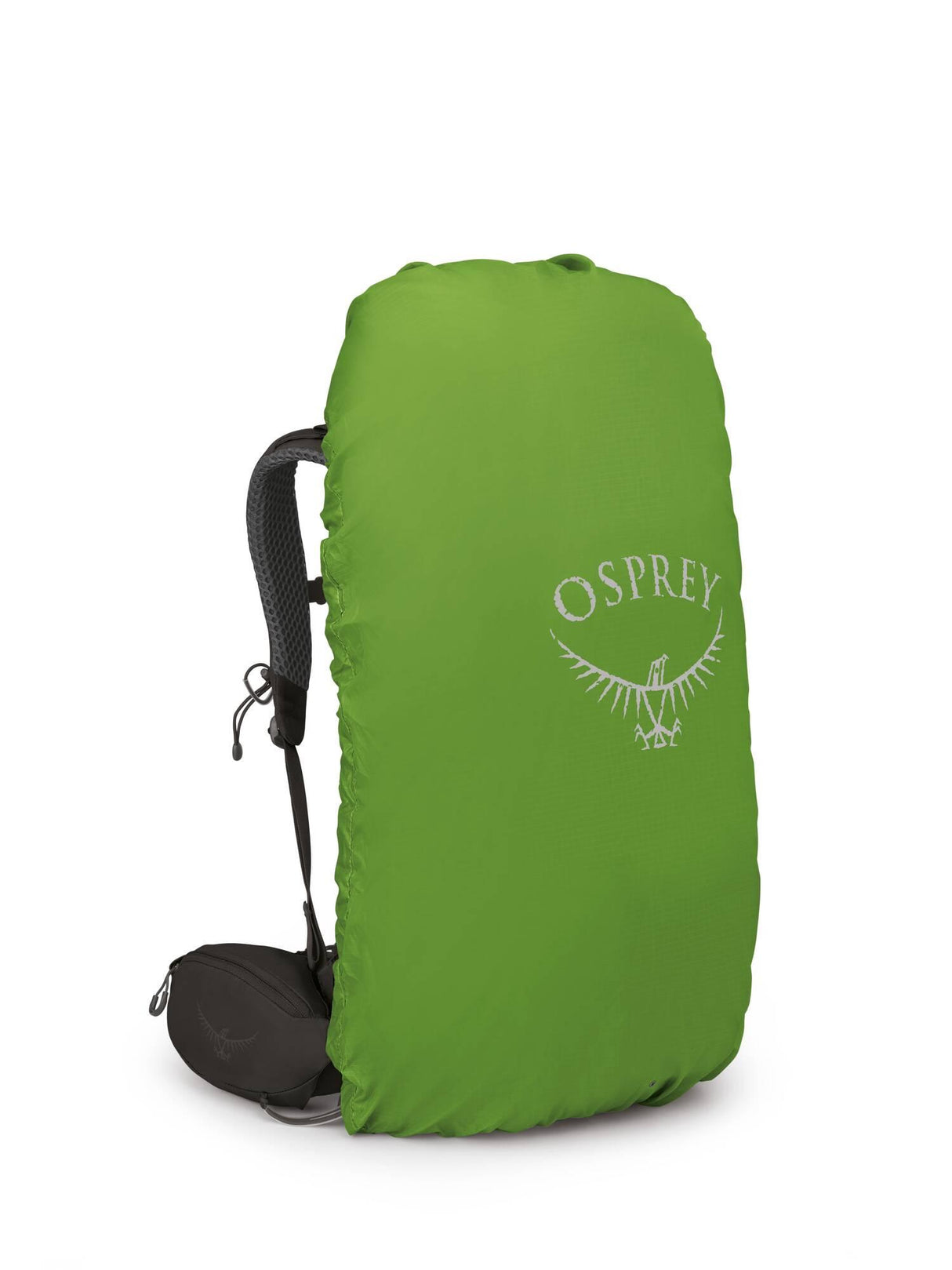 Osprey<br>Kestrel 38