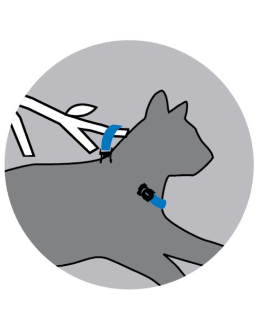 Rogz Alleycat Halsband Zwart - Kattenhalsband