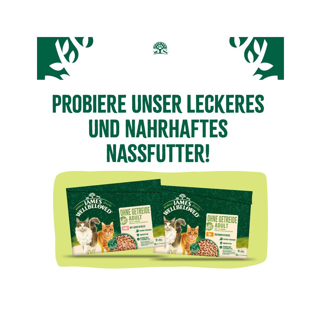 James Wellbeloved Trockenfutter Katze Adult, Getreidefrei Truthahn 1,5 kg