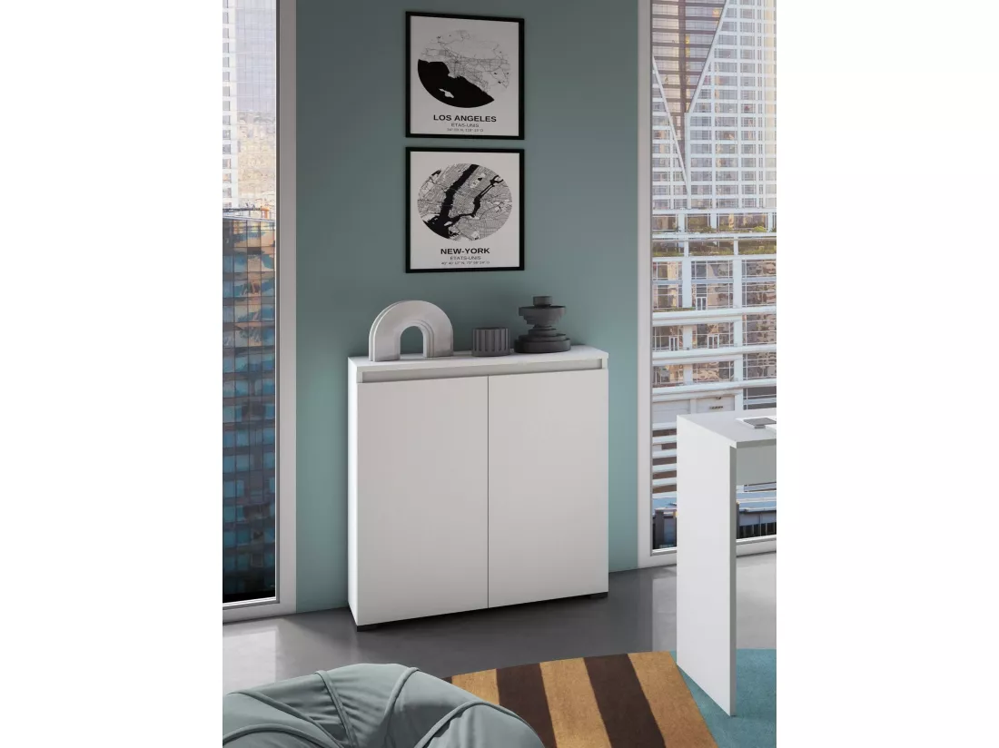 Étagère à chaussures Calla, Meuble polyvalent, Étagère à chaussures peu encombrante avec 2 portes, Armoire de rangement avec étagères, 100% Made in Italy, 80x37h102 cm, Blanc